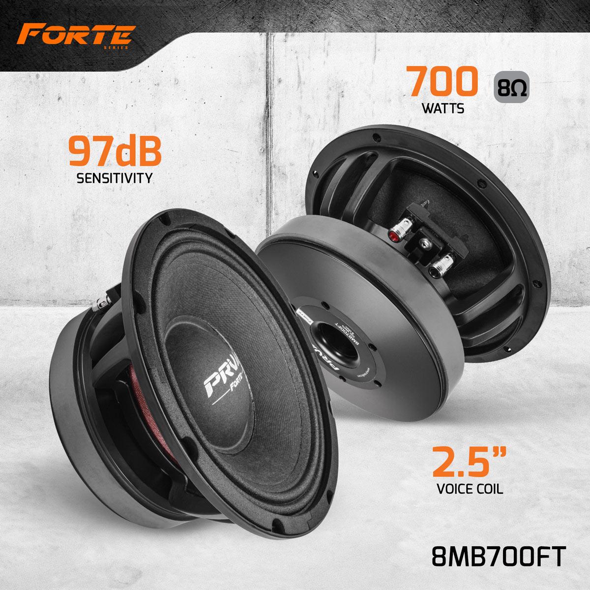 PRV Audio 10MB800FT Forte Series 10
